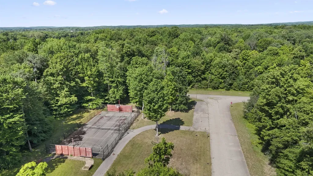 21233 Forest Trail Green Charter Township MI 49307