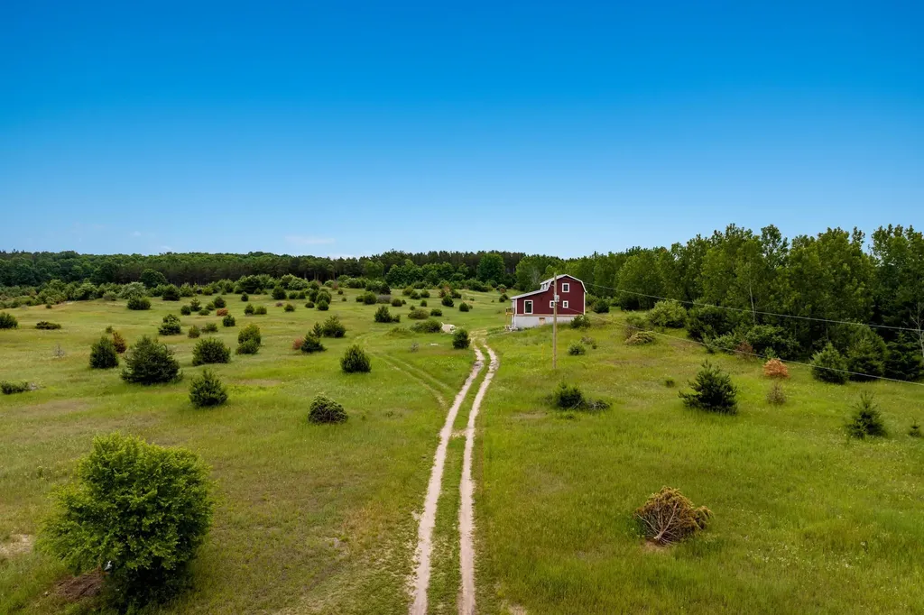 11369 Milarch Road Bear Lake Township MI 49614