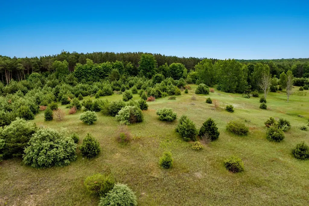 11369 Milarch Road Bear Lake Township MI 49614