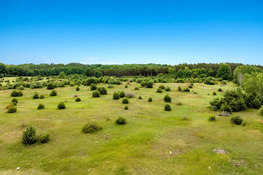 11369 Milarch Road Bear Lake Township MI 49614