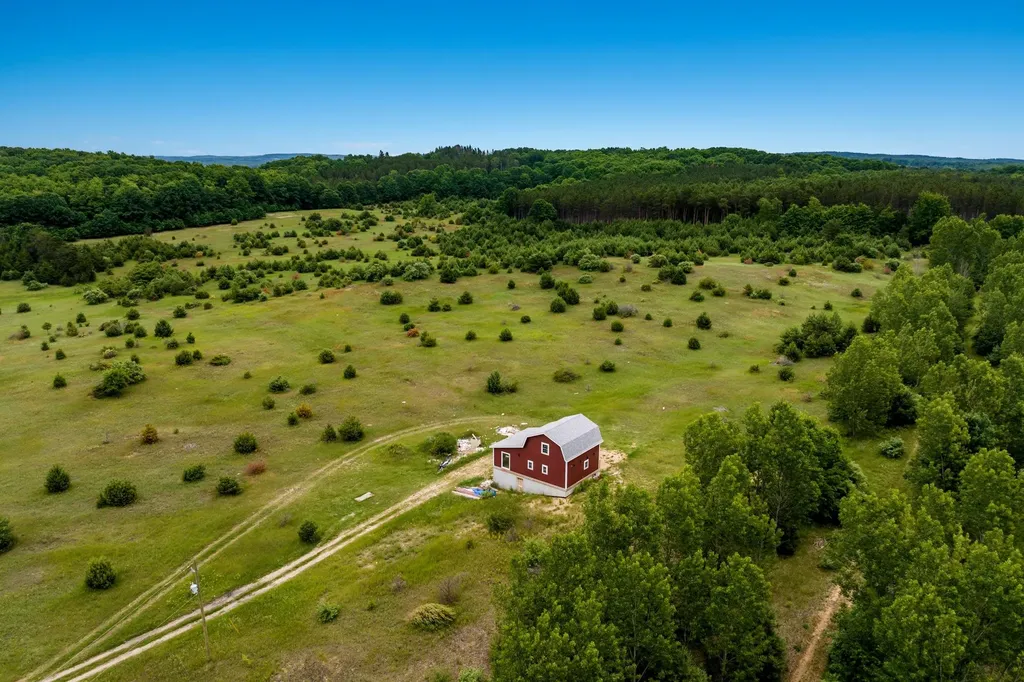 11369 Milarch Road Bear Lake Township MI 49614