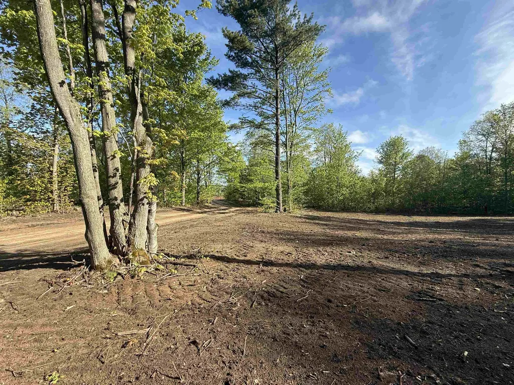 1155 E Solaris Way Kasson Township MI 49664