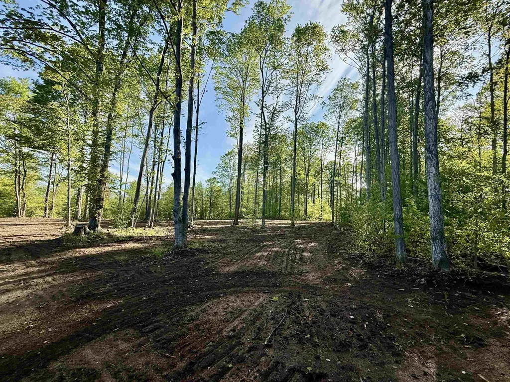1155 E Solaris Way Kasson Township MI 49664