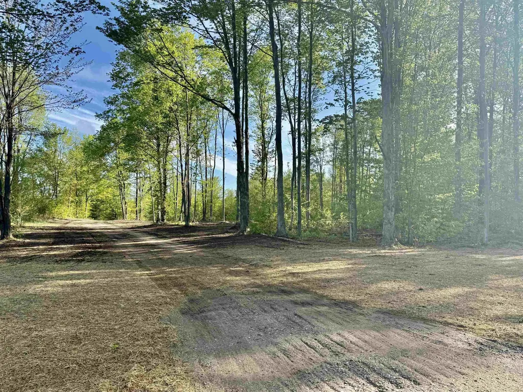 1155 E Solaris Way Kasson Township MI 49664