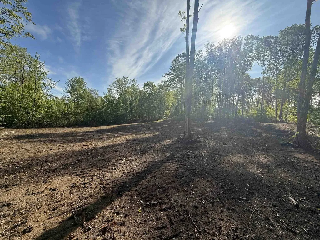 1155 E Solaris Way Kasson Township MI 49664