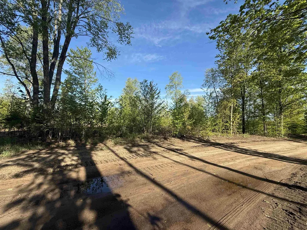 1155 E Solaris Way Kasson Township MI 49664