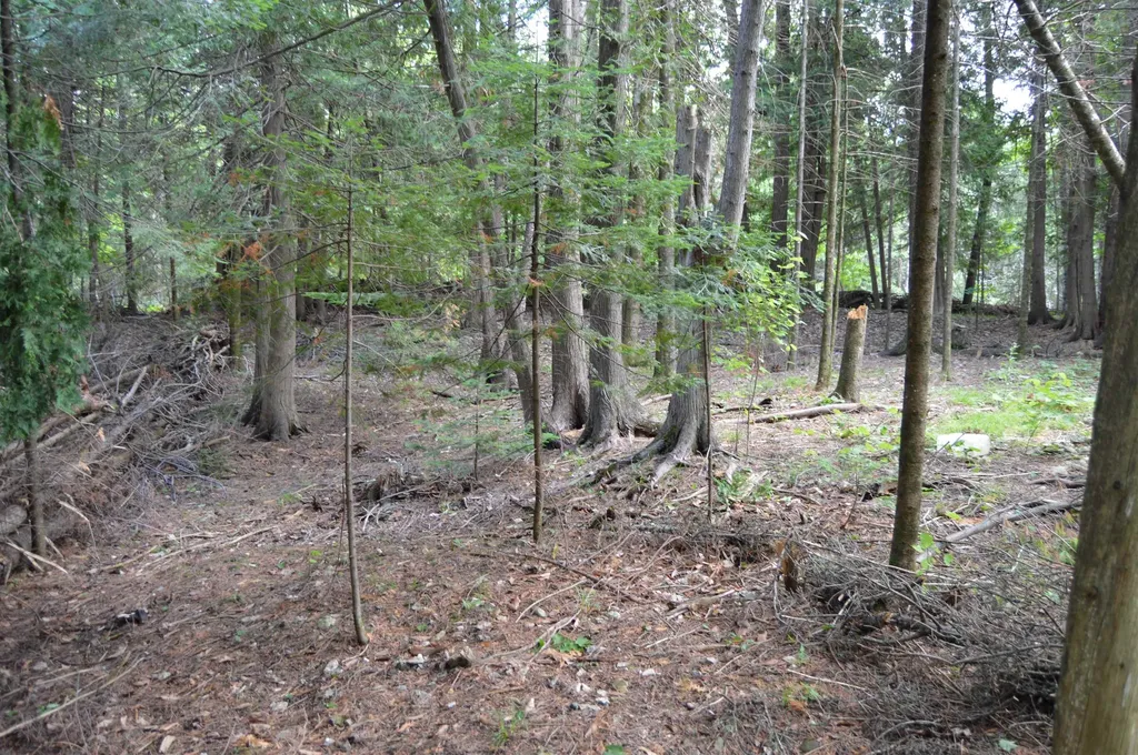 5010 Wessel Road Alpena Township MI 49707