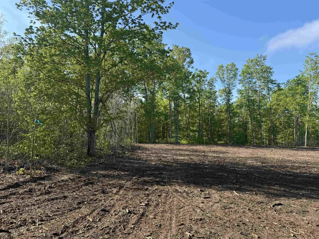 1060 E Solaris Way Kasson Township MI 49664