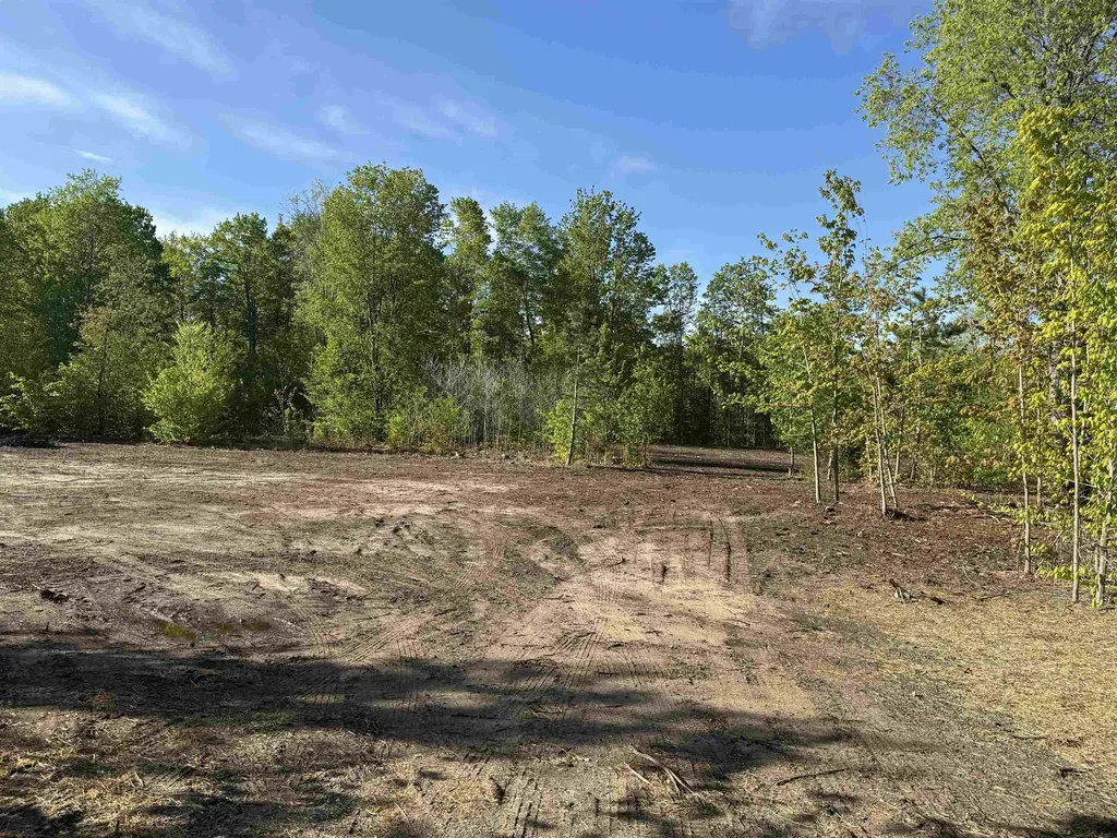 1060 E Solaris Way Kasson Township MI 49664