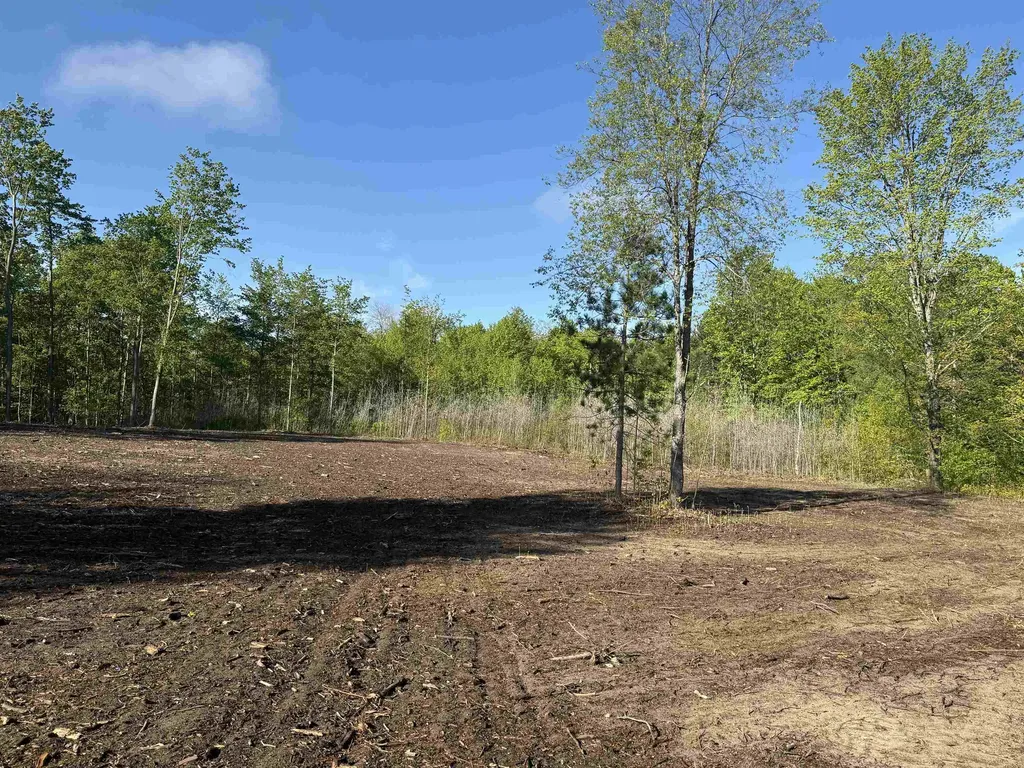 1060 E Solaris Way Kasson Township MI 49664