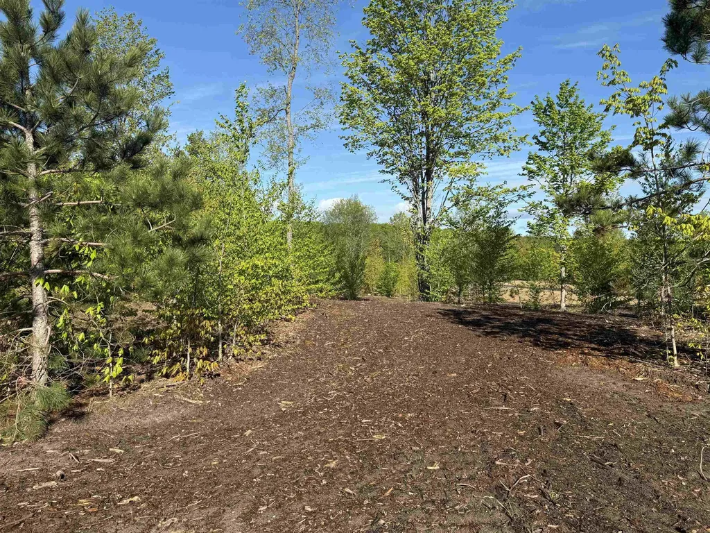 1060 E Solaris Way Kasson Township MI 49664