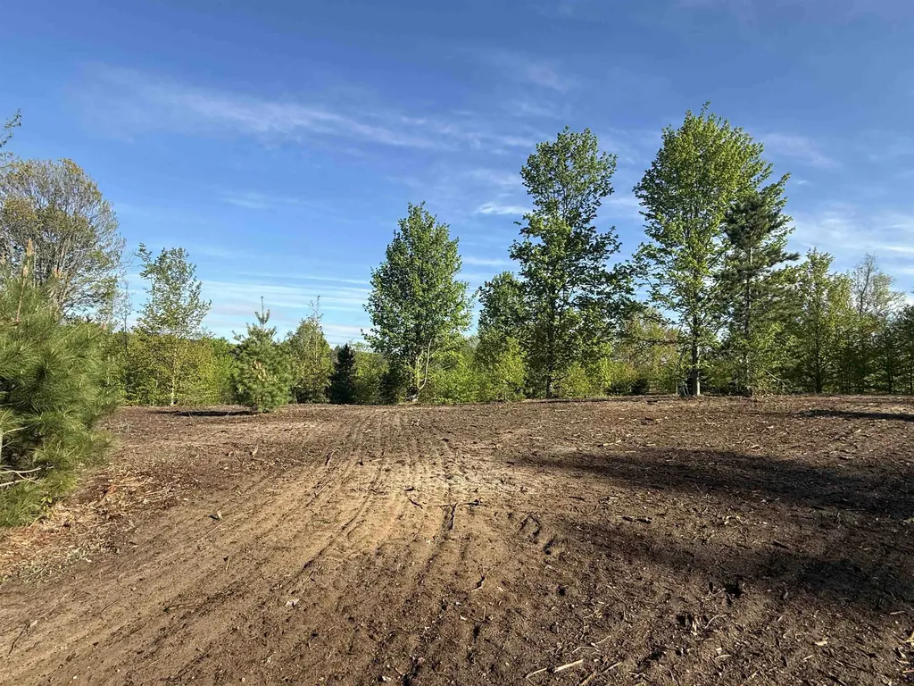 1029 E Solaris Way Kasson Township MI 49664