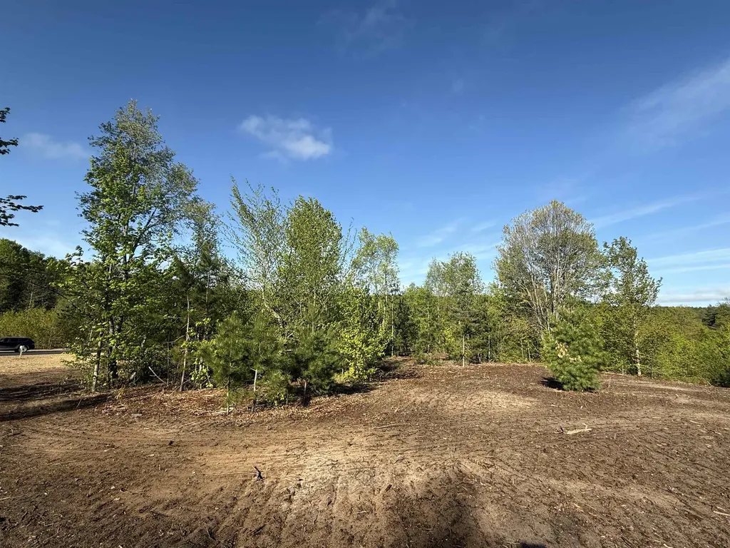 1029 E Solaris Way Kasson Township MI 49664