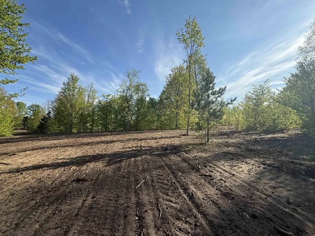 1029 E Solaris Way Kasson Township MI 49664