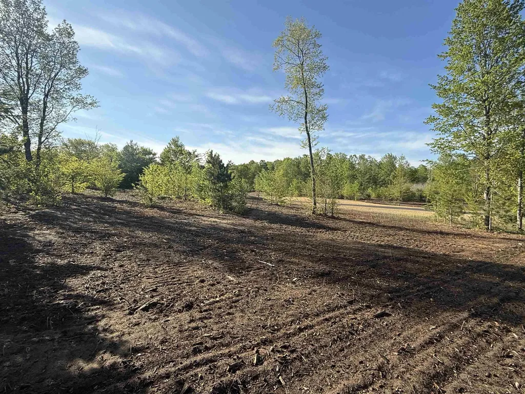 1029 E Solaris Way Kasson Township MI 49664
