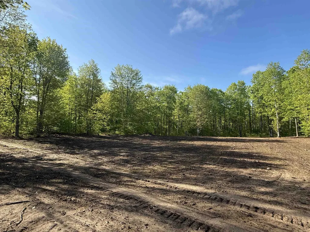 1128 E Solaris Way Kasson Township MI 49664