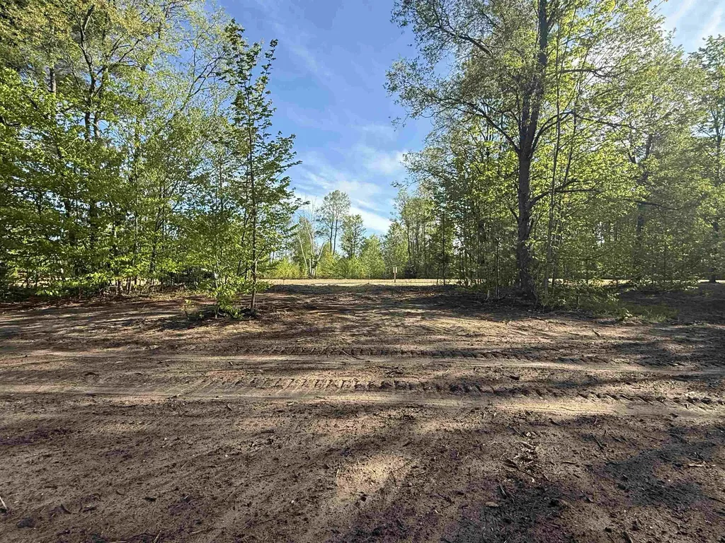 1128 E Solaris Way Kasson Township MI 49664