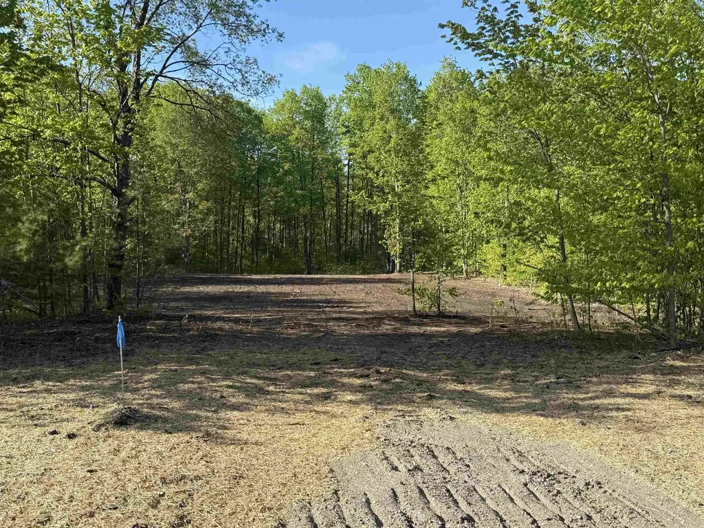 1128 E Solaris Way Kasson Township MI 49664