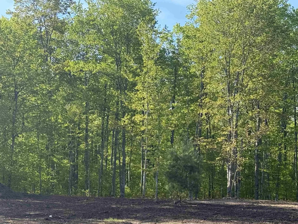 1128 E Solaris Way Kasson Township MI 49664