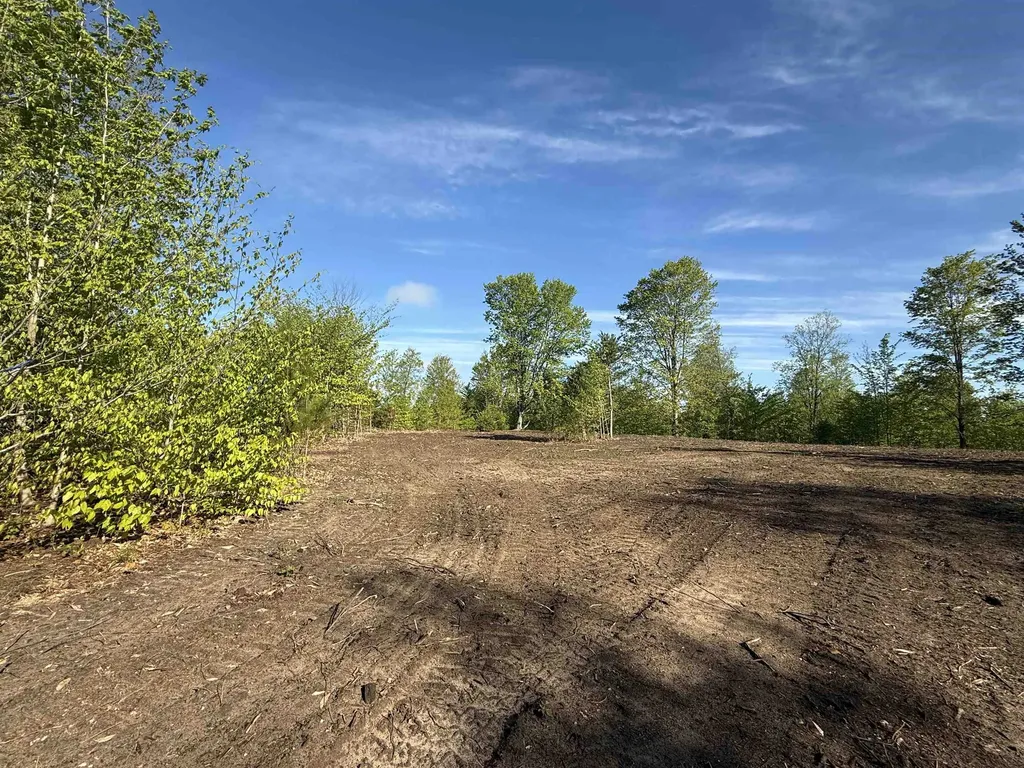 1087 E Solaris Way Kasson Township MI 49664