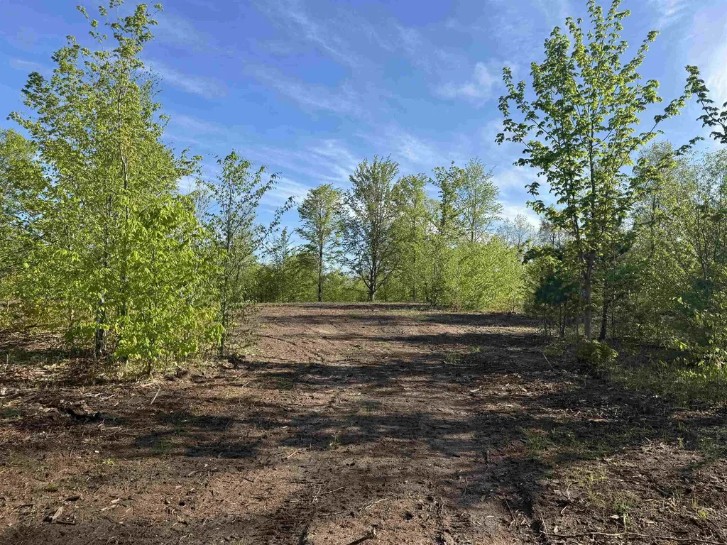 1087 E Solaris Way Kasson Township MI 49664
