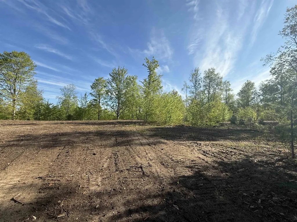 1087 E Solaris Way Kasson Township MI 49664