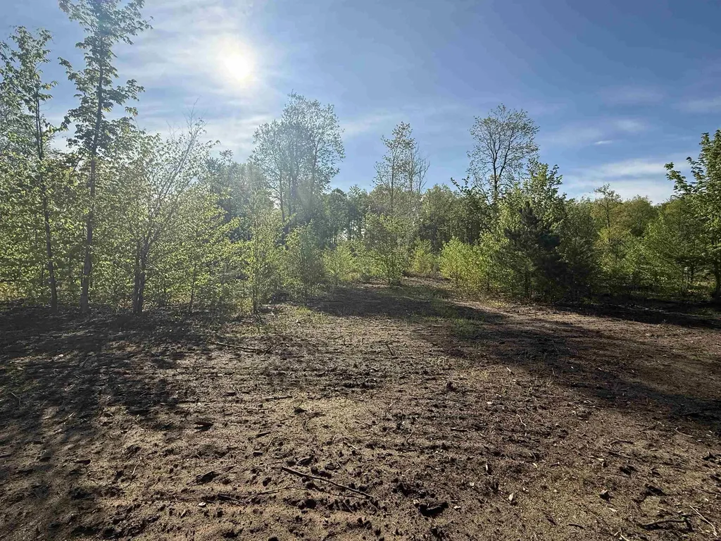 1087 E Solaris Way Kasson Township MI 49664