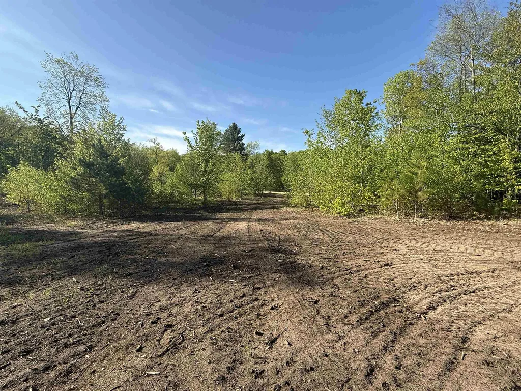 1087 E Solaris Way Kasson Township MI 49664