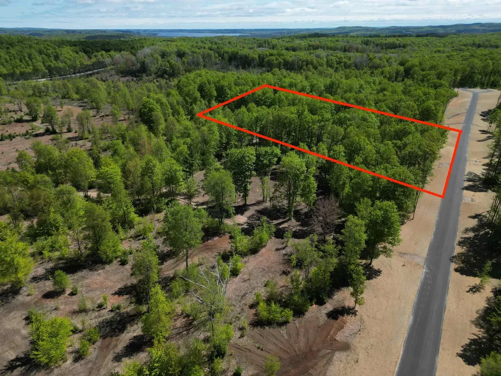 1371 E Solaris Way Kasson Township MI 49664