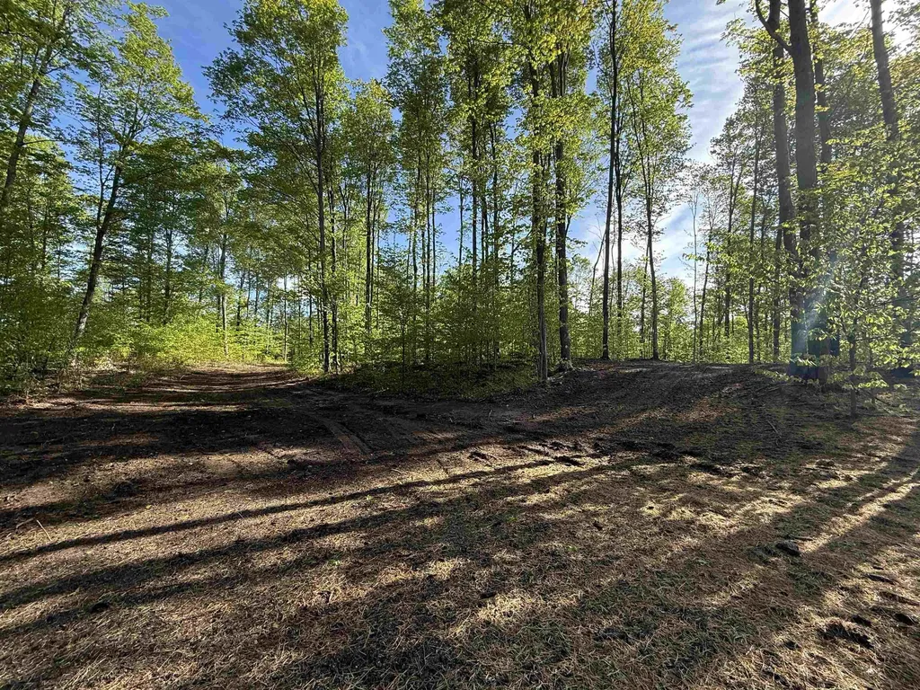 1371 E Solaris Way Kasson Township MI 49664
