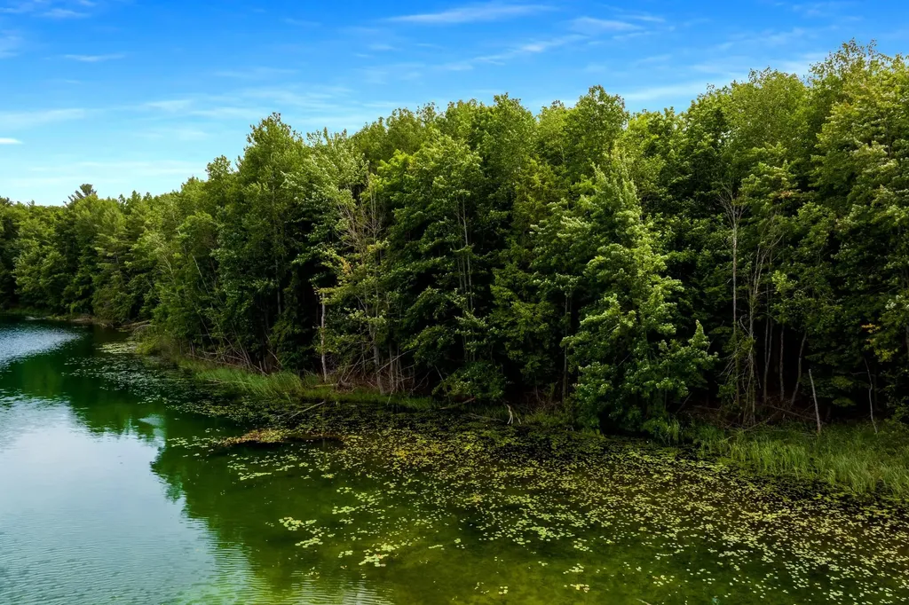 0 Pettengill Road Almira Township MI 49630