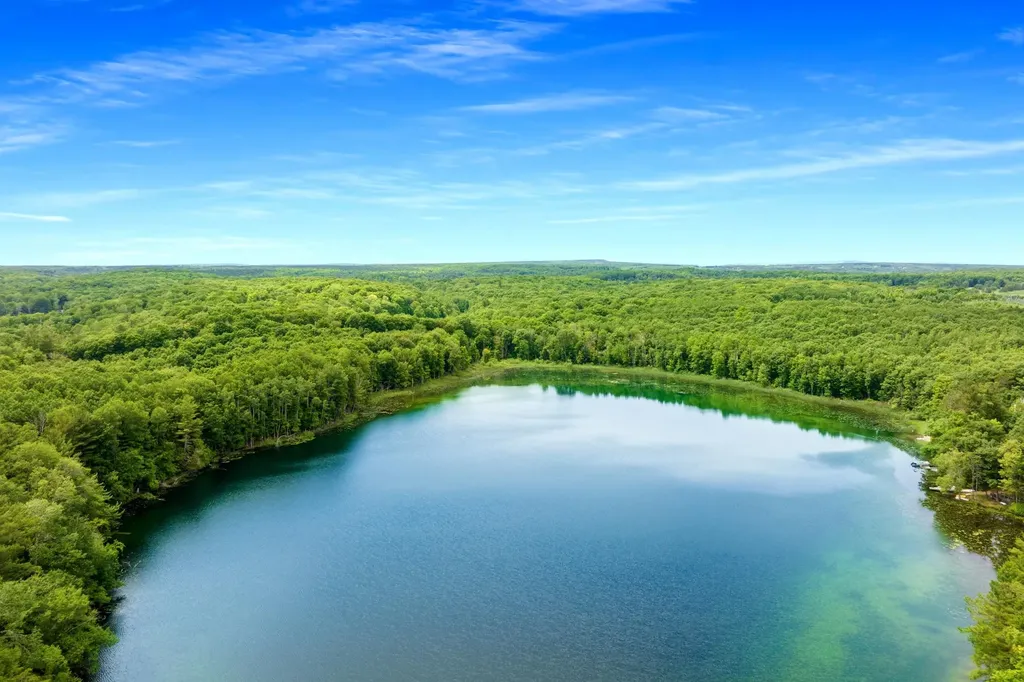 0 Pettengill Road Almira Township MI 49630