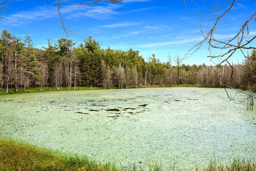 16043 Wagner Road Almira Township MI 49630