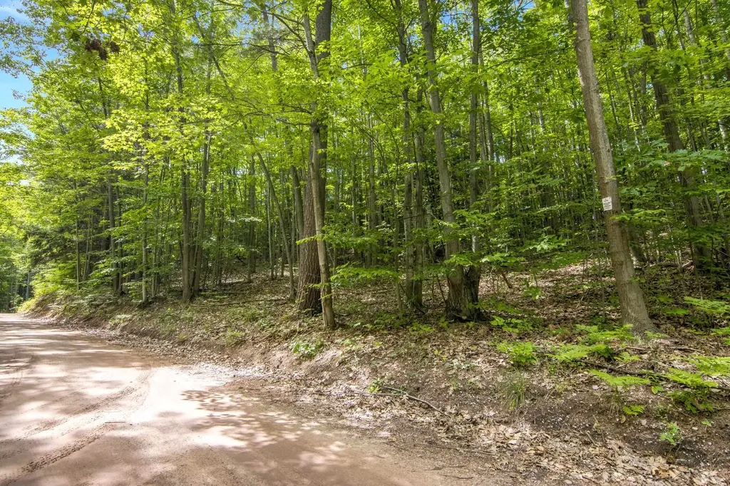 16043 Wagner Road Almira Township MI 49630