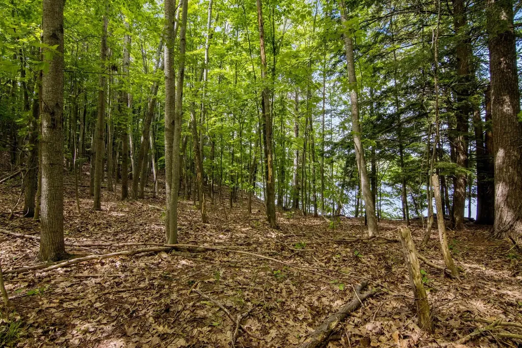 16043 Wagner Road Almira Township MI 49630