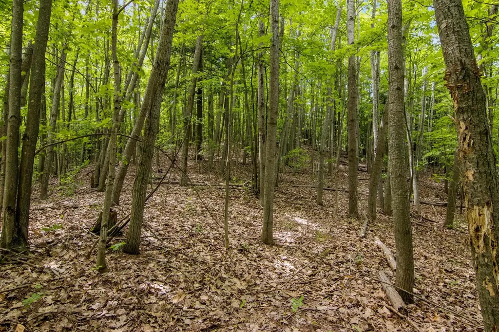 16043 Wagner Road Almira Township MI 49630