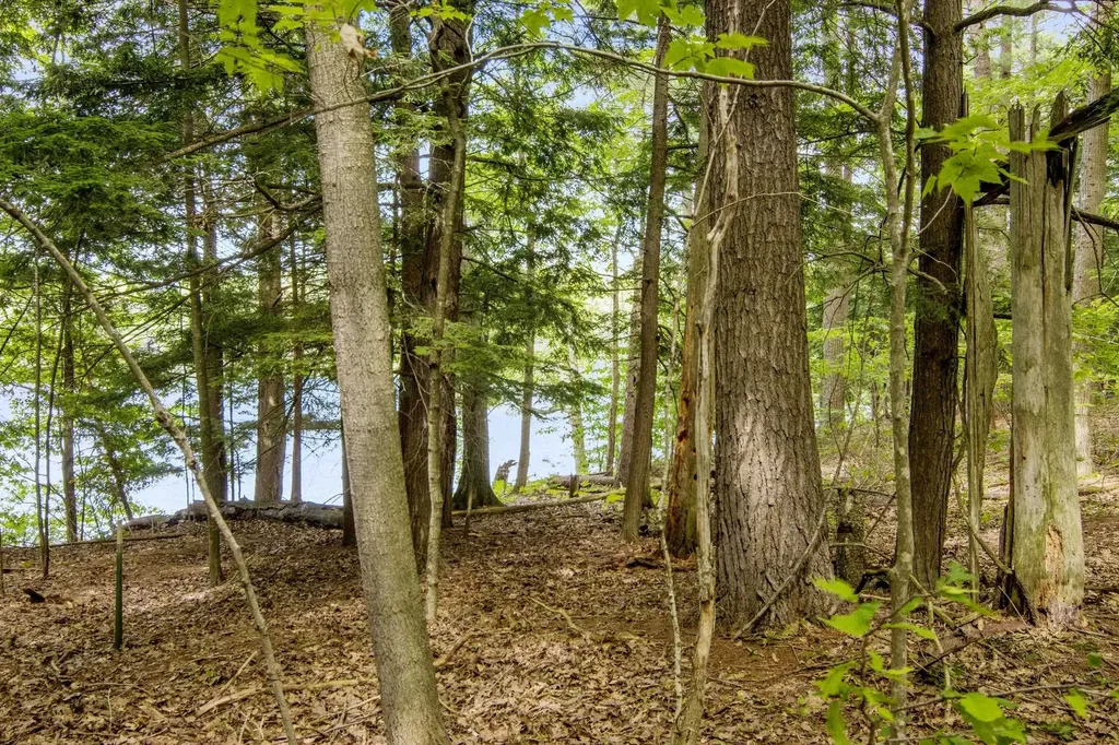 16043 Wagner Road Almira Township MI 49630