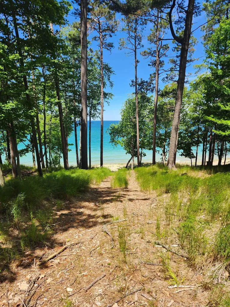 0000 Mt Mcsauba Road Charlevoix Township MI 49720
