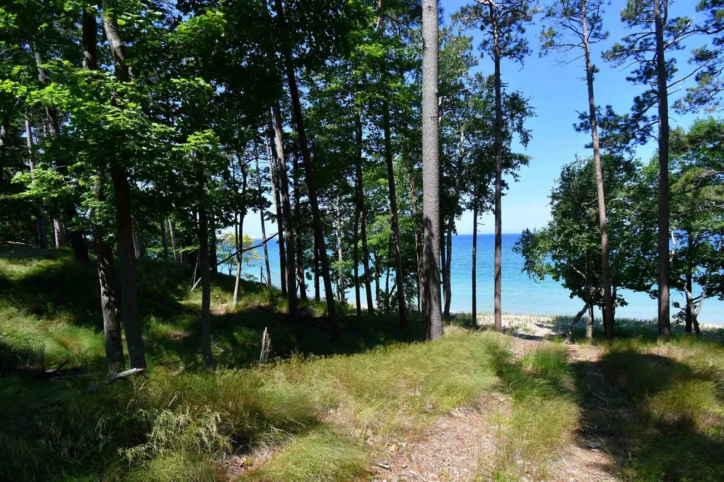0000 Mt Mcsauba Road Charlevoix Township MI 49720