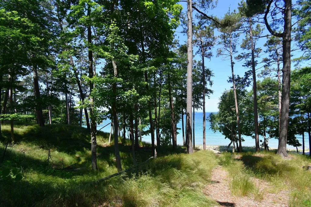 0000 Mt Mcsauba Road Charlevoix Township MI 49720