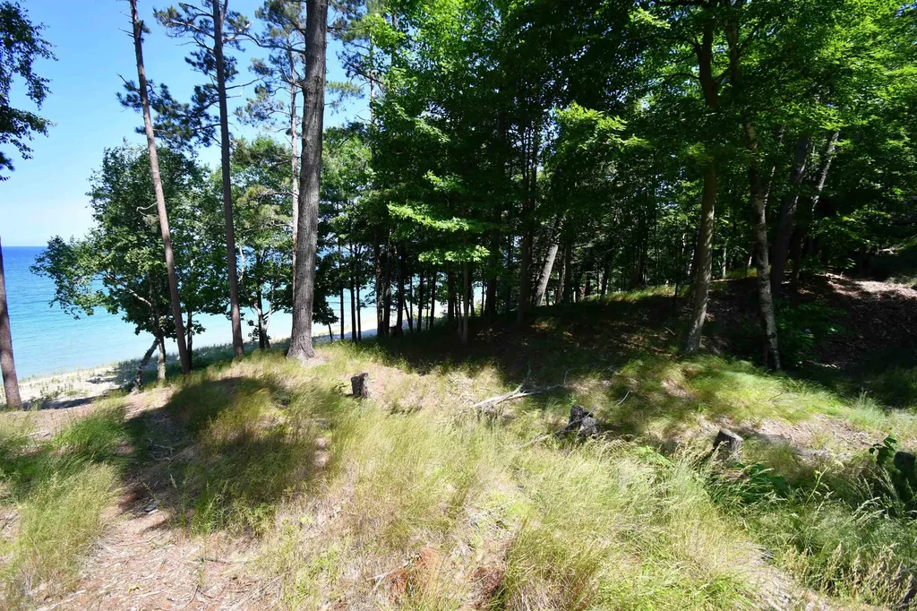 0000 Mt Mcsauba Road Charlevoix Township MI 49720