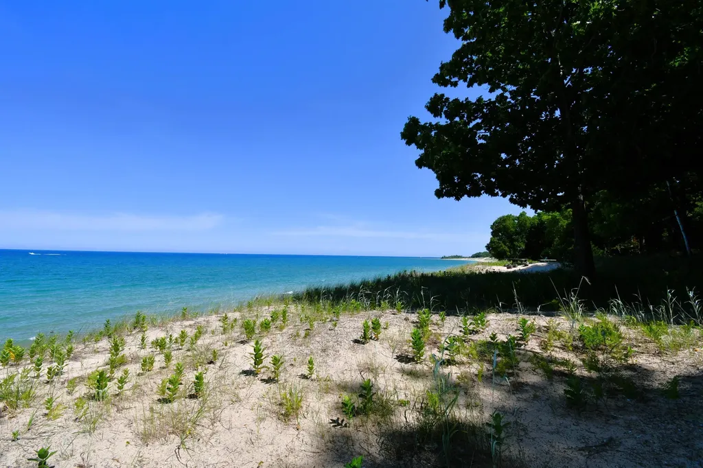 0000 Mt Mcsauba Road Charlevoix Township MI 49720
