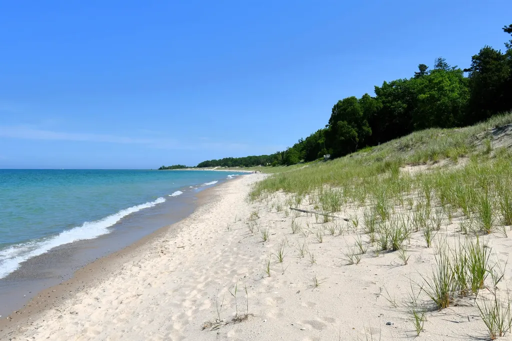 0000 Mt Mcsauba Road Charlevoix Township MI 49720