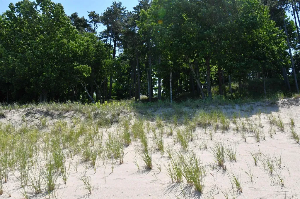 0000 Mt Mcsauba Road Charlevoix Township MI 49720