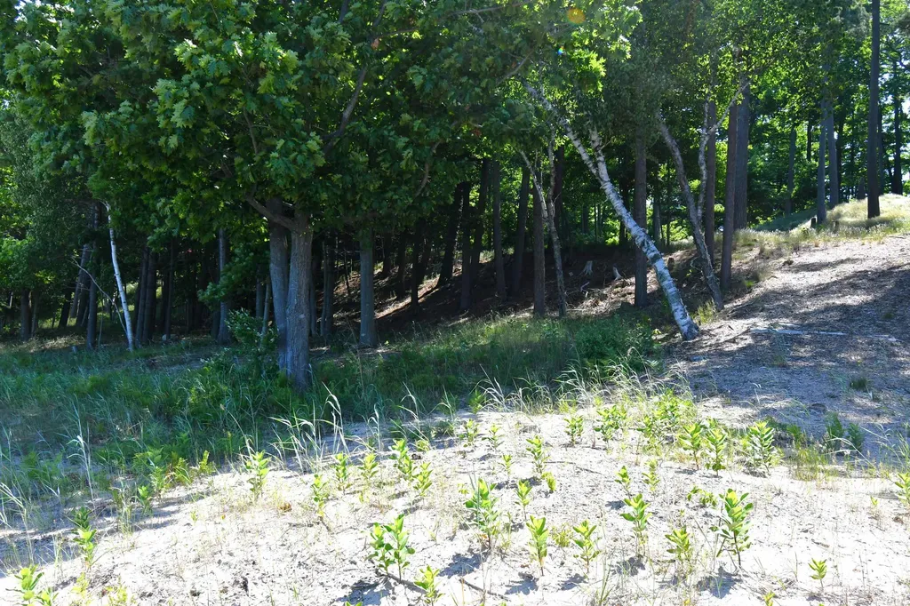 0000 Mt Mcsauba Road Charlevoix Township MI 49720