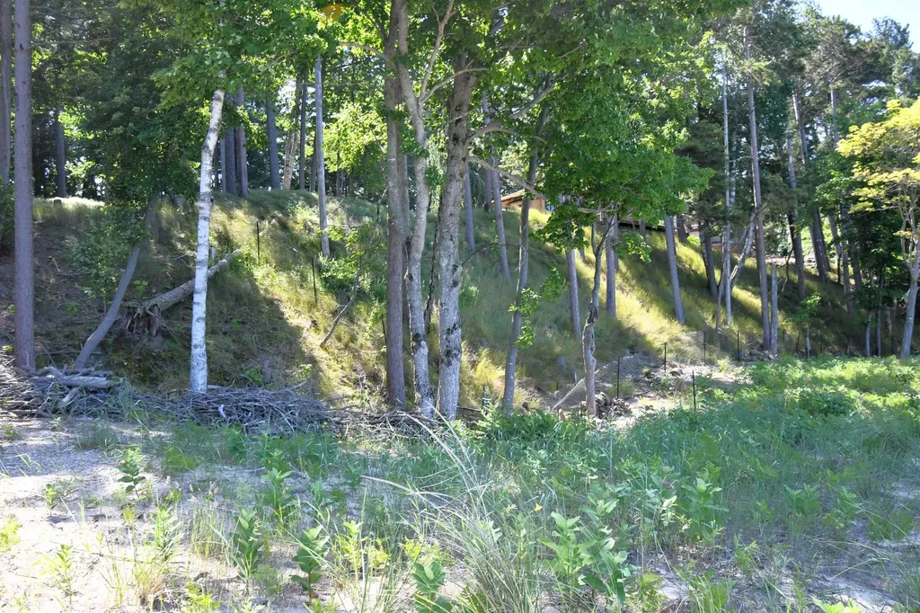 0000 Mt Mcsauba Road Charlevoix Township MI 49720