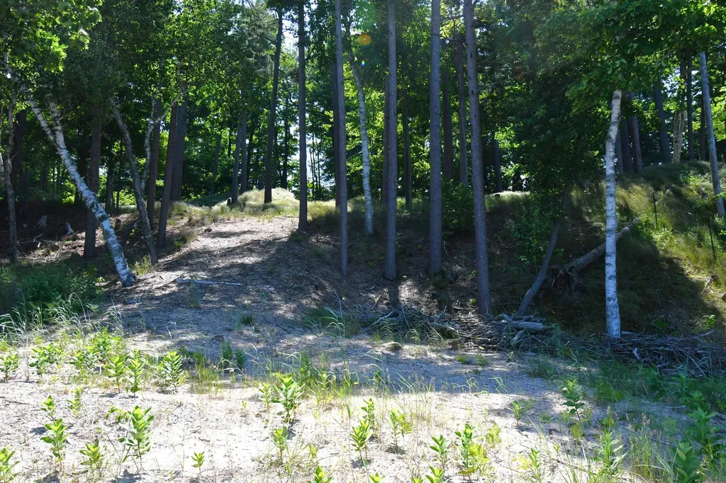 0000 Mt Mcsauba Road Charlevoix Township MI 49720