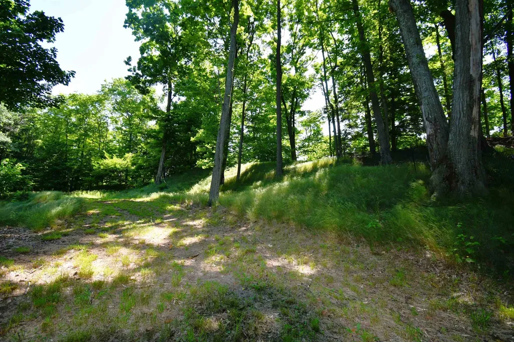 0000 Mt Mcsauba Road Charlevoix Township MI 49720