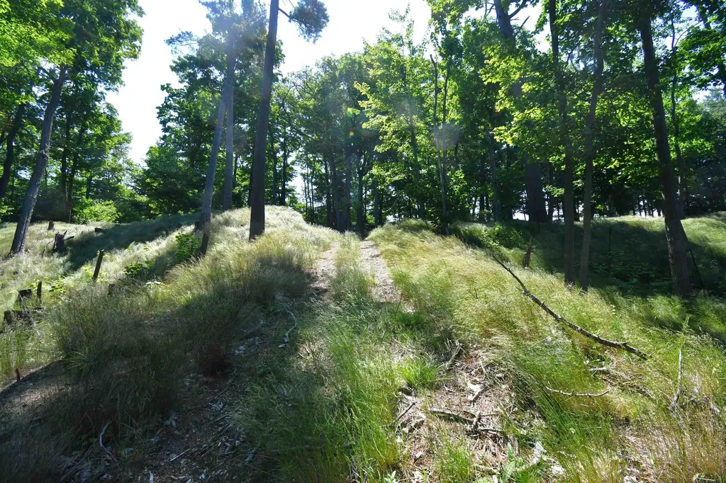 0000 Mt Mcsauba Road Charlevoix Township MI 49720