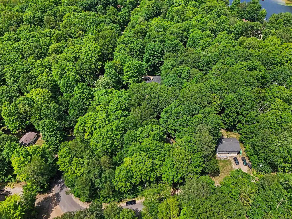 19048 Birch View Trail Almira Township MI 49650